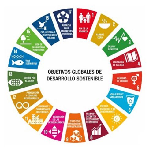 Objetivos Globales